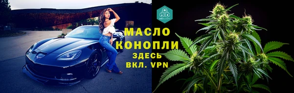 сатива Арсеньев