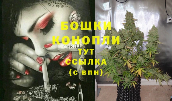 амф Аркадак