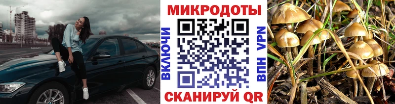 даркнет Telegram  Шатура  Галлюциногенные грибы прущие грибы 