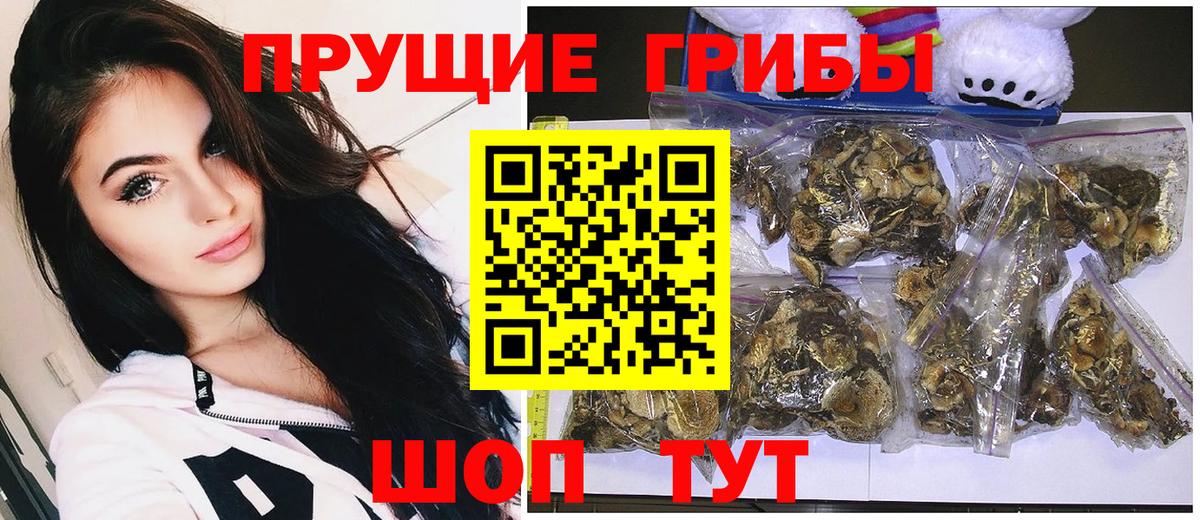 Псилоцибиновые грибы MAGIC MUSHROOMS Шатура
