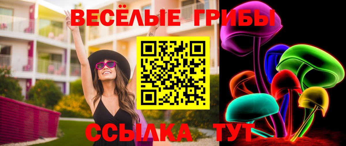 Псилоцибиновые грибы MAGIC MUSHROOMS  Галлюциногенные грибы мицелий  Шатура  Вход с VPN 